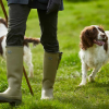 Le Chameau Ladies Vierzonord Boots Vert Vierzon 6