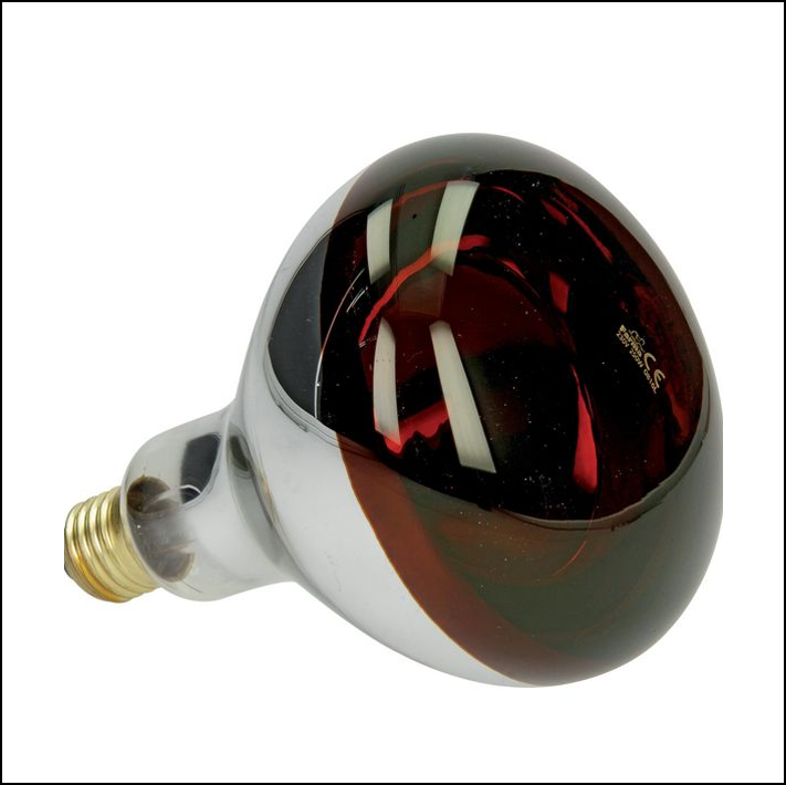 Farma Infrared Heat Bulb 250W Hard Glass Red 1
