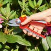 Wolf Garten RR4000 Large Bypass Secateurs 2