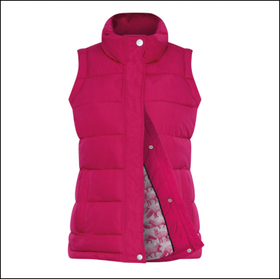 Champion Vermont Ladies Gilet Rose 1