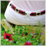 Pioneros Narrow Polo Belt - Berry, White & Black Stripe 1