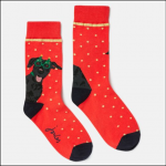 Joules Festive Red Single Socks Christmas Dog