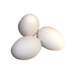 Ceramic Dummy Hen Egg