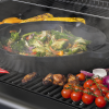 Sahara BBQ Griddle Pan Insert 2