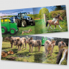 Tractor Ted The Great Race Story Book 2