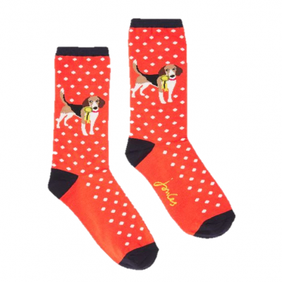 Joules Excellent Everyday Socks Red Dog 1