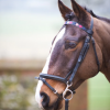 Pioneros Polo Black Leather Browband Berry, Navy, Pink 2