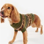 Barbour Case Fair Isle Dog Jumper Olive