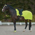 Waldhausen Reflex Hi-Viz Lightweight Exercise Sheet Neon Yellow