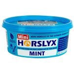 Horselyx Mint Mini Lick Balancer 650G