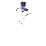 Ascalon Decorative Yellow / Purple Iris Stake