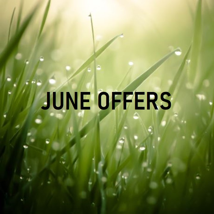 Monthly Offers