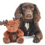 Barbour Reindeer Soft Dog Toy