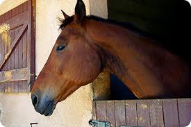 Farming & Equestrian Special Offers