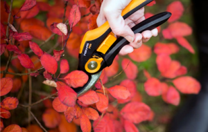 Pruners and Loppers