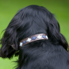 Pioneros Polo Dog Collar - Pampas Cross Navy & Blue 2