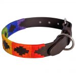 Pioneros Polo Dog Collar - Rainbow 1