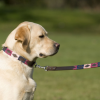 Pioneros Polo Dog Lead - Berry, Navy & Pink 2