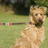 Pioneros Polo Dog Lead - Navy, Cream & Red 2