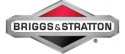 Briggs & Stratton